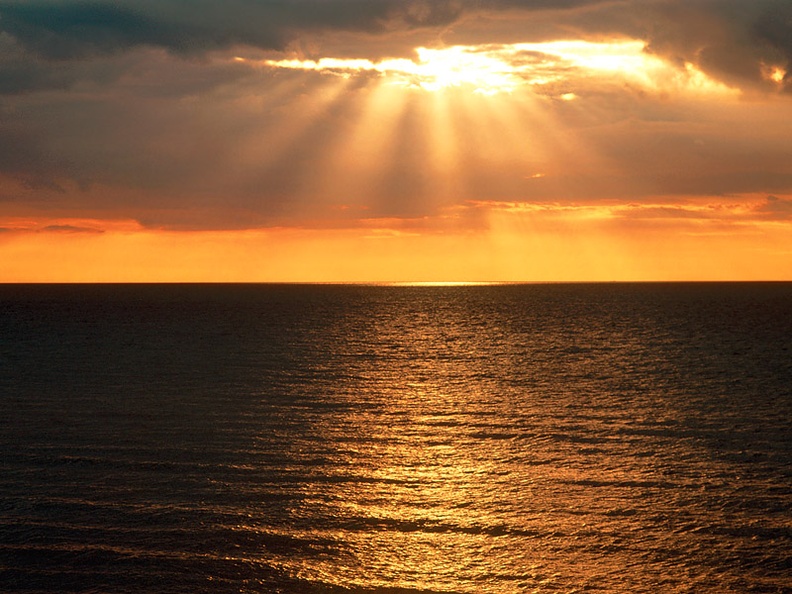 Hopes on the Horizon